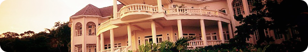 Real Estate Property Leads Image!
